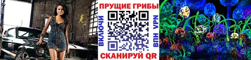 Псилоцибиновые грибы Cubensis  Купить закладки  Кашира 